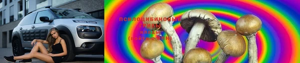 индика Волоколамск