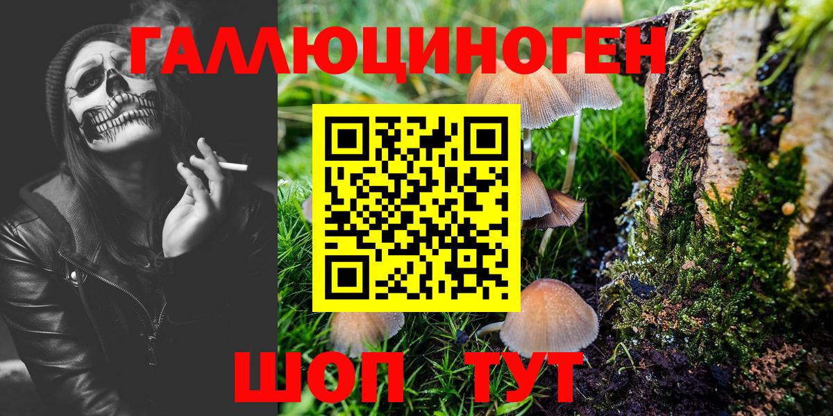 Галлюциногенные грибы MAGIC MUSHROOMS Дагестанские Огни