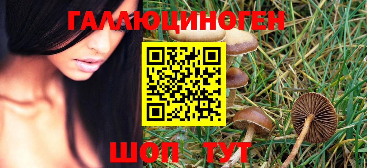магазин продажи наркотиков  Псилоцибиновые грибы Magic Shrooms  Псилоцибиновые грибы GOLDEN TEACHER  Вход с VPN  Дагестанские Огни 