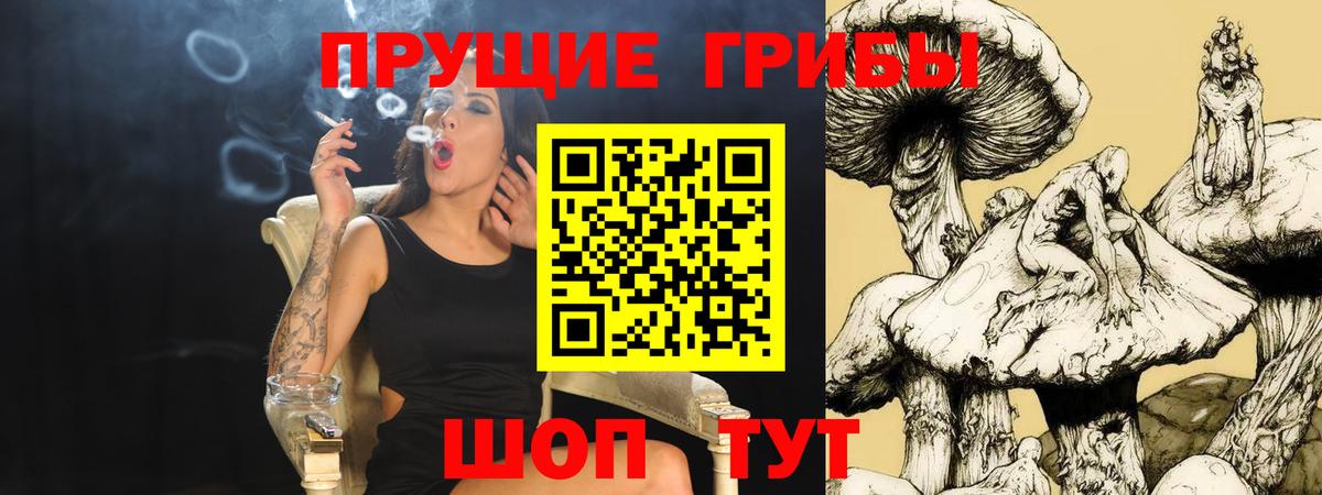 Галлюциногенные грибы Cubensis  Дагестанские Огни  Галлюциногенные грибы Cubensis 